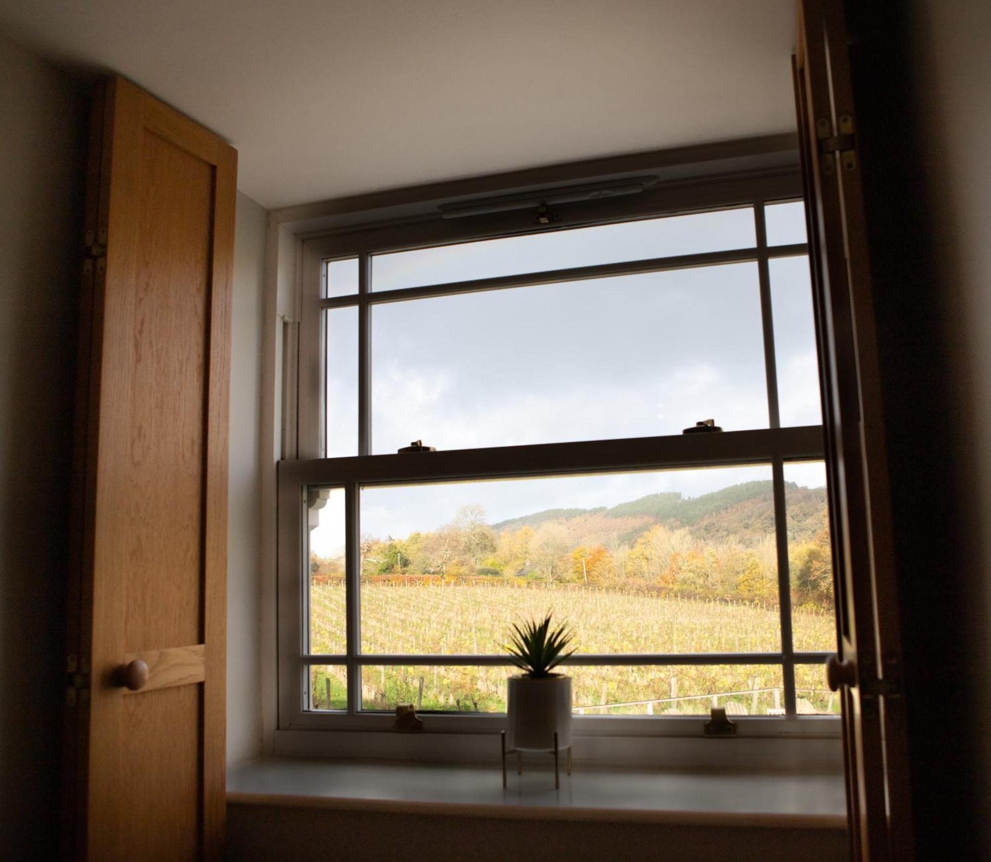 Vineyard Country Cottage Llanerch-Aeron Екстериор снимка